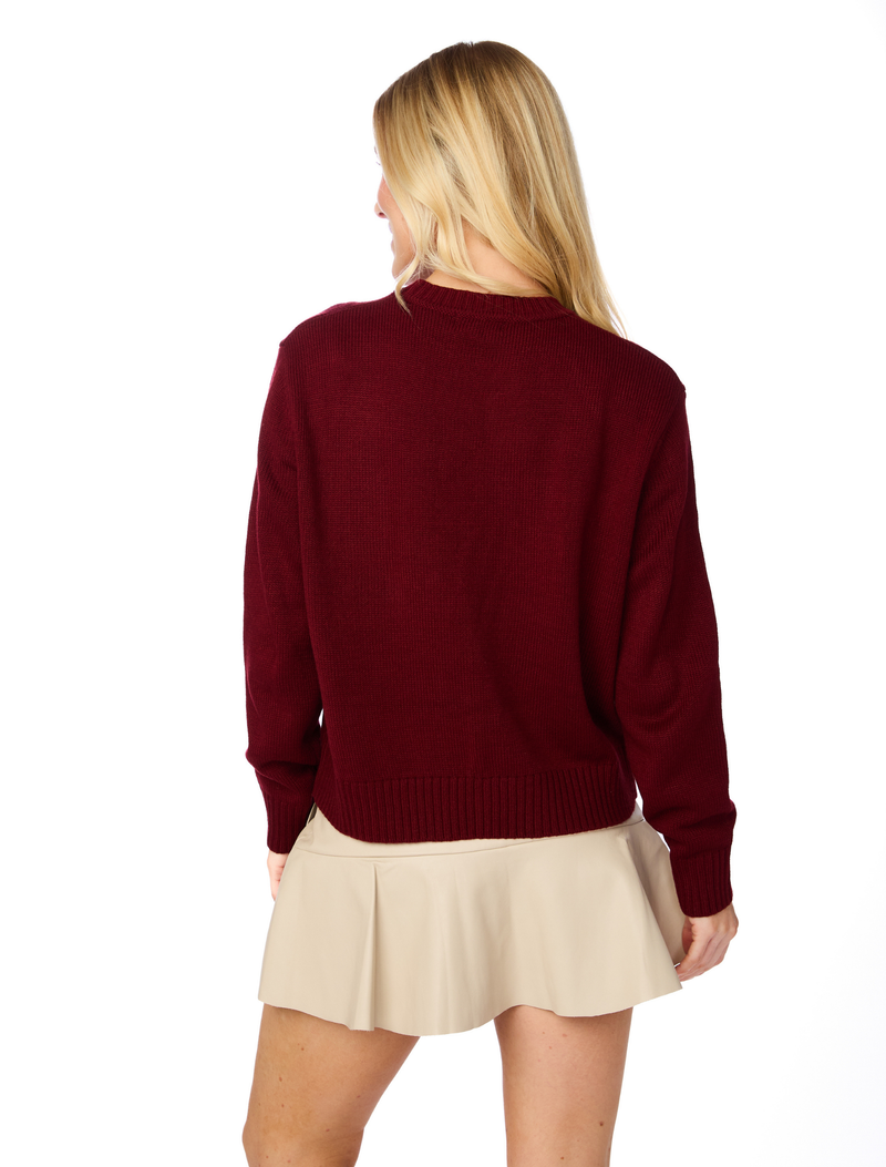 The Seminoles Embroidered Sweater