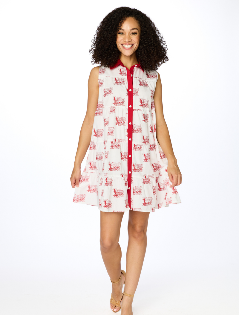 The Sooners Poplin Tank Dress