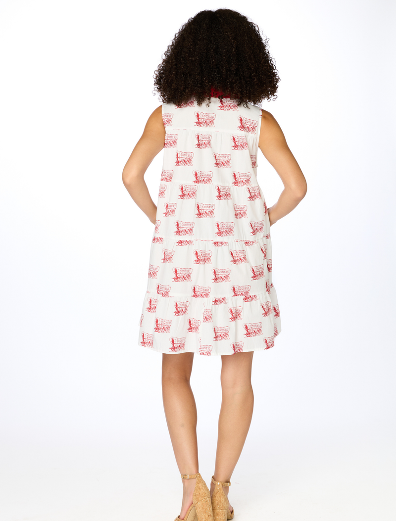 The Sooners Poplin Tank Dress