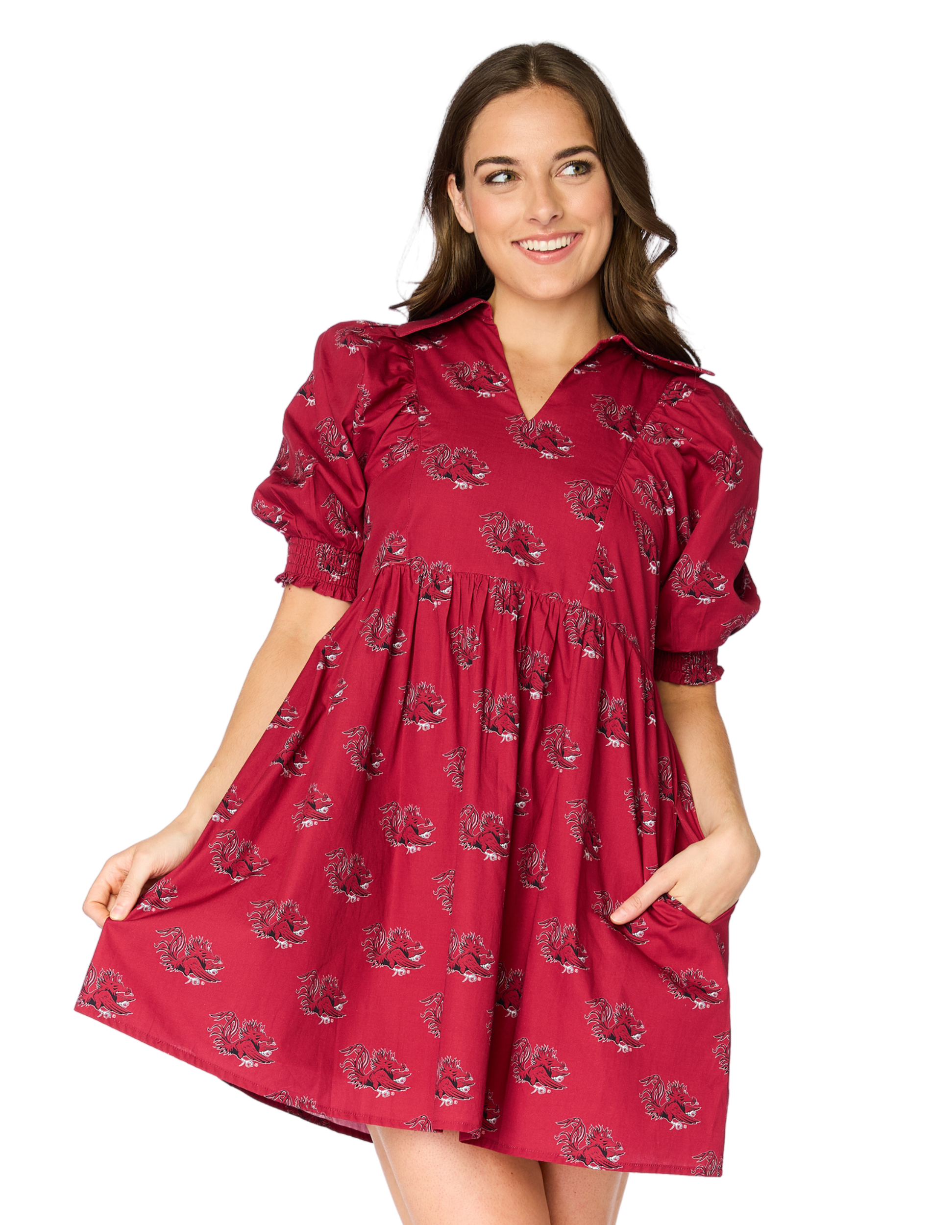 The Gamecocks Poplin Dress – Stewart Simmons 