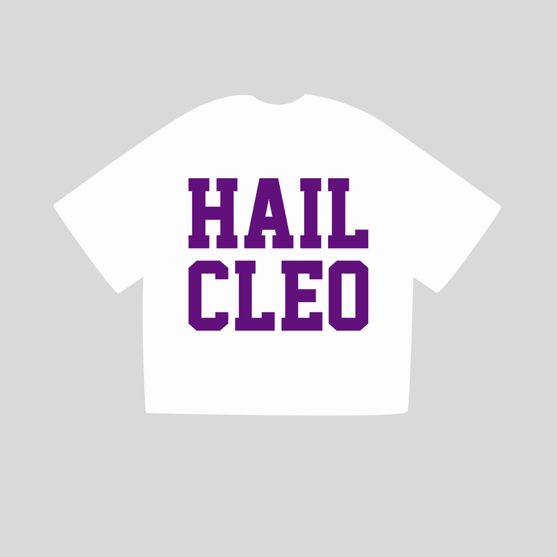 Custom: HAIL CLEO Chenille Boxy Tee. Purple text